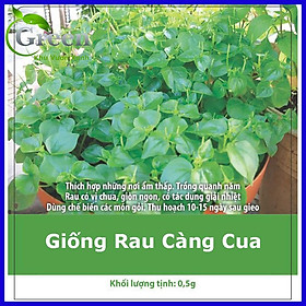 Mua Hạt Giống Rau Ăn Lá Tổng Hợp (Xà Lách  Cải  Mồng Tơi ...) Dễ Trồng  Nảy Mầm Cao
