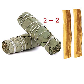 Combo THANH TẨY & BẢO VỆ gồm 2 thanh palo santo và 2 bó xô bảo vệ Bạch đàn (Eucalyptus smudge stick)