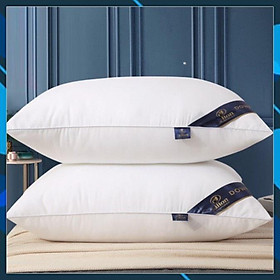 Mua Hàng Auth- Ruột gối nằm Pillow cao cấp - ruột gối hơi nhập khẩu kích thước 45x65 cm