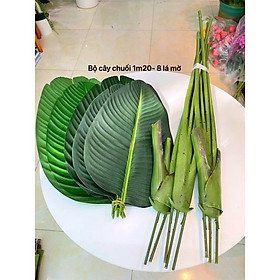 Mua Cây chuối giả chuối rẻ quạt hàng xịn - Size từ 80cm đến 180cm - 3 nhánh - Cây giả  hoa lụa trang trí nhà cửa