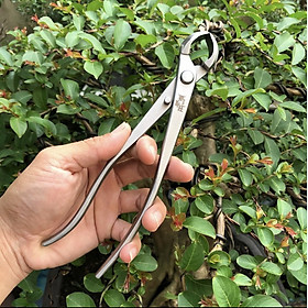 Mua Kìm Cạp Tròn Thép Nhật Bản 21cm   Dùng cắt tỉa   cây bonsai   cây ảnh  Sử Dụng Thép Nhật Bản   Độ Hoàn Thiện cao   Sắc và Đẹp