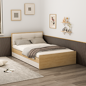 Mua Giường ngủ thông minh đa năng cao cấp thương hiệu IGA lắp đặt miễn phí tại nội thành GP239
