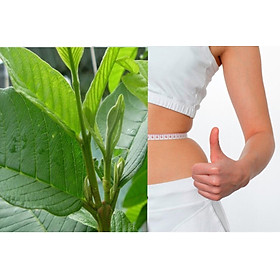 Trà ổi giảm cân Orihiro Nhật Bản (60 gói) tặng gói trà sữa hoặc cafe ngẫu nhiên