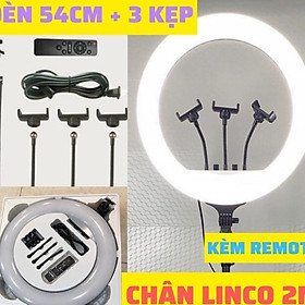 Mua Đèn Livestream 45cm/54cm Cao Cấp Kèm Chân 2M