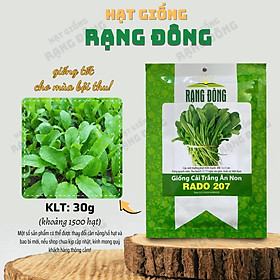Mua Hạt giống Cải Trắng Ăn Non Rado 207 (30g~1500 hạt) dễ trồng  cây sinh trưởng khỏe  nhanh thu hoạch - Hạt giống Rạng Đông