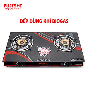 Mua Bếp gas đôi BIOGAS mặt kính chén đồng Fujishi FJ-BG3 - (Bếp chỉ dùng khí BIOGAS) - Hàng chính hãng