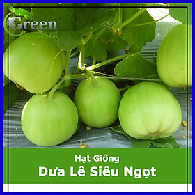 Hạt Giống Dưa Lê Siêu Ngọt (0.5 Gam)