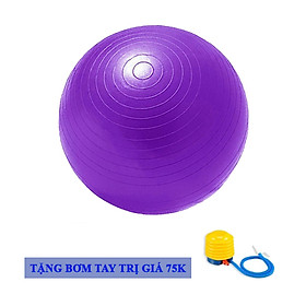 Bóng Tập Yoga Chất Liệu Cao Su Da Trơn DNS009 Chính Hãng Đại Nam Sport + Kèm Bơm Tay Mini