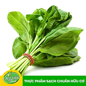 Cải bó xôi hữu cơ Organicfood - 300g