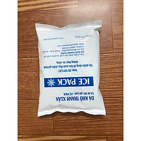 Túi đá gel 500gr bảo quản thực phẩm, an toàn, tiện lợi - Không chảy nước - Giữ lạnh thực phẩm, đồ ăn