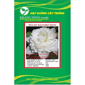 Hạt giống hoa sen bách diệp trắng KNS3454 - Gói 5 hạt