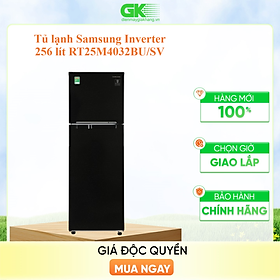 Mua Tủ lạnh Samsung Inverter 256 lít RT25M4032BU/SV - HÀNG CHÍNH HÃNG