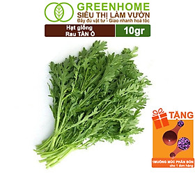 Mua Hạt Giống Rau Tần Ô Greenhome  Gói 10g  Cải Cúc Dễ Trồng  Thu Hoạch Nhanh R02