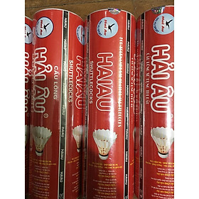 Mua Cầu Lông Hải Âu Cao Cấp - hộp 6 quả