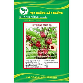 Hạt giống cây bụp giấm(atiso đỏ) KNS3428 - Gói 10 hạt