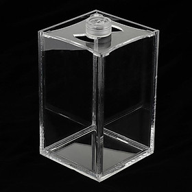 Acrylic Transparent Aquarium Tropical Sea Aquatic Rumble Fish Small LED Tank