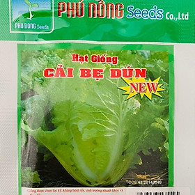 Mua Hạt giống cải bẹ dún