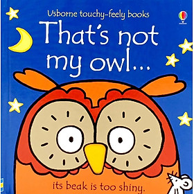 Ảnh bìa Usborne That's not my owl