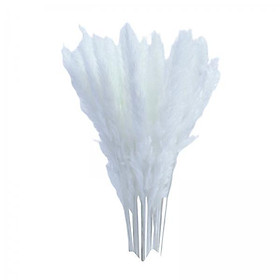 3X 15x Dried Pampas Grass Phragmites Reed Flower Bunch Home Wedding Decor Gift