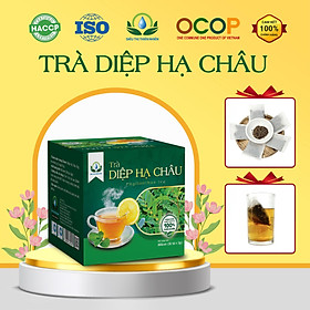 Trà Diệp Hạ Châu hộp 30 Túi Lọc x 3Gram giúp lợi tiểu, tiêu độc