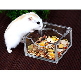 Acrylic Water Food Feeding Bowl for Small Pet Hamster Ferret Guinea Pig