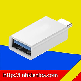 Mua Jack chuyển OTG - Jack OTG - Chuyển từ cổng USB Type-C ra USB 3.0