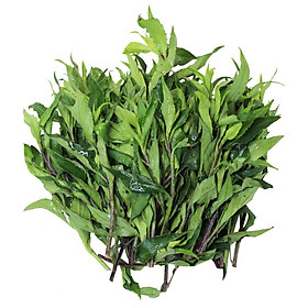 Rau Rừng Gia Lai Hữu Cơ - Gói 250G