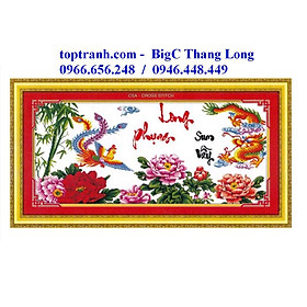 Tranh thêu chữ thập long phụng sum vầy, rồng phượng hoa mẫu đơn A469 chưa thêu