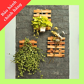 Mua Khung Gỗ Treo Cây Ban Công  Giá Treo Cây Cảnh  Khung Trang Trí Tường Chung Cư  Căn Hộ Kích Thước 30x25cm