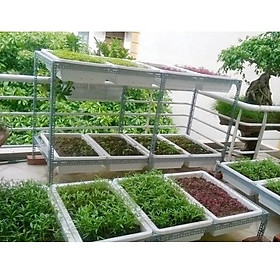 Mua Khung kệ sắt v lỗ trồng rau sạch 2 tầng dùng 8 khay nhựa ( không bao gồm khay)