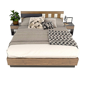Mua Giường Ngủ  OHAHA-028 (160cm x 200cm)