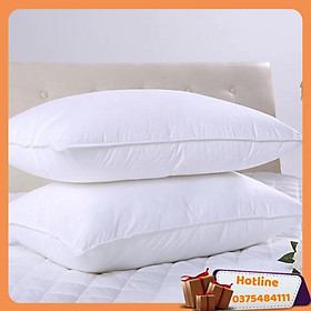 Mua 2 Ruột Gối Hơi Cao Cấp Làm Từ Bông Trắng 40 X60Cm - Hàng Loại 1