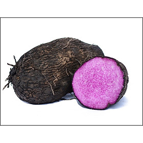 Khoai mỡ - Loại 1kg