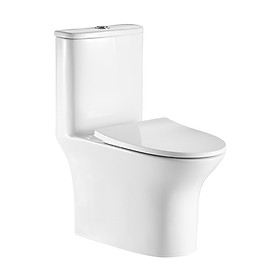Bồn cầu liền khối Basic  BS 110