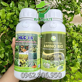 Mua COMBO HLC 16 & AMINO BIO - Phân Bón Lá Có Tác Dụng Đi Đọt Mạnh  Mập Cơi  Bóng Lá Và Giải Độc Cho Cây