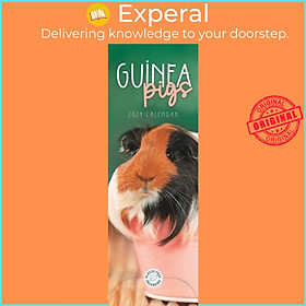 Sách - Guinea Pigs Slim Calendar 2024 by  (UK edition, paperback)
