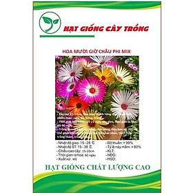 Hình ảnh Hạt giống hoa mười giờ châu phi mix màu CT213 - Gói 20 hạt