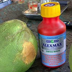PHÂN BÓN VI LƯỢNG ALEXMAX ĐẶC BIỆT HIỂU QUẢ