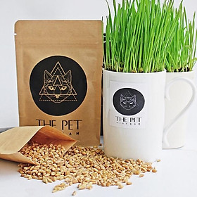 Hạt Giống Cỏ Lúa Mạch Cho Mèo Chống Tắc Ruột Bổ Sung Vitamin 100g