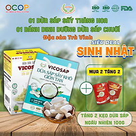 Combo 1 Dừa sáp sấy giòn VICOSAP 1 Bánh dừa sáp chuối ít đường đồ ăn vặt healthy đặc sản Trà Vinh