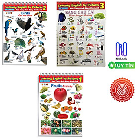Combo 3 bộ poster học tiếng anh bằng hình ảnh khổ nhỏ 1 + 2 +3