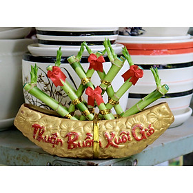 Chậu thuyền phát tài phú quý thuận bườm xuôi gió
