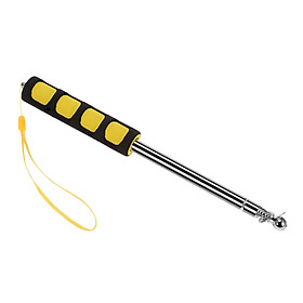 Que Chỉ Dạy Học Bằng Thép Không Gỉ (1.2m)