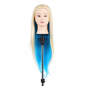 Đầu Tóc Giả Luyện Tập Làm Tóc (27 Inch)