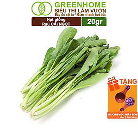 Mua Hạt Giống Rau Cải Ngọt Greenhome  Gói 20g  Dễ Trồng Quanh Năm  Nảy Mầm Cao  Thu Hoạch Nhanh  Năng Suất Cao R03