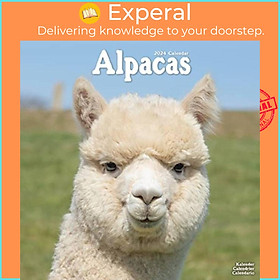 Sách - Alpacas Calendar 2024  Square Animal Wall Calendar - 16 Month by  (UK edition, paperback)