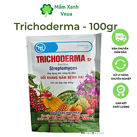 Mua Nấm Đối Kháng Trichoderma SP Bacillus - Streptomyces - 100Gr
