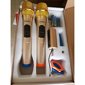 Mua Micro đa năng AIWA AV38 2 micro không dây - Hàng nhập khẩu