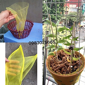 20 túi lưới lót chậu trồng hoa phong lan