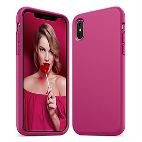 Ốp Lưng iPhone X Anker KARAPAX Silk - A9028091